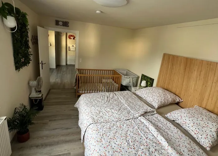 Moeblierte Petra * Koblenz (Rhineland-Palatinate)